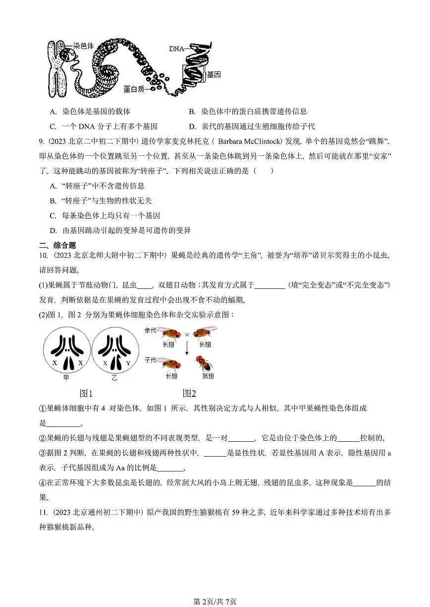 2023-2025北京重点校初二(下)期中生物汇编:基因在亲子代间的传递 有答案解析第2页