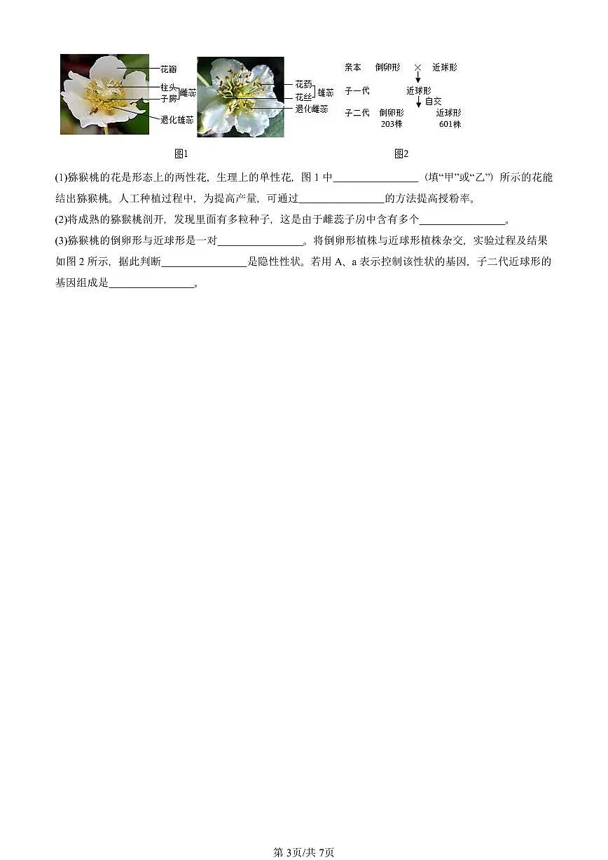 2023-2025北京重点校初二(下)期中生物汇编:基因在亲子代间的传递 有答案解析第3页