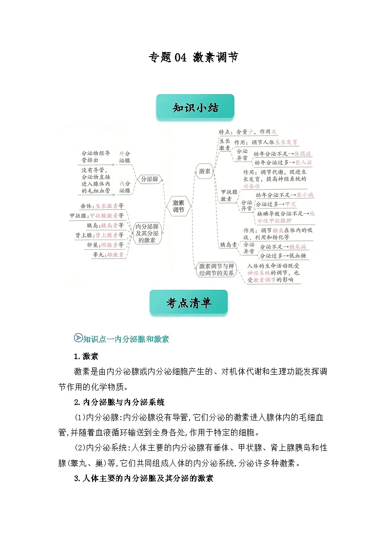 专题04 激素调节(word) 八上生物 人教版2024 期中复习 知识点+习题.(原卷版)第1页