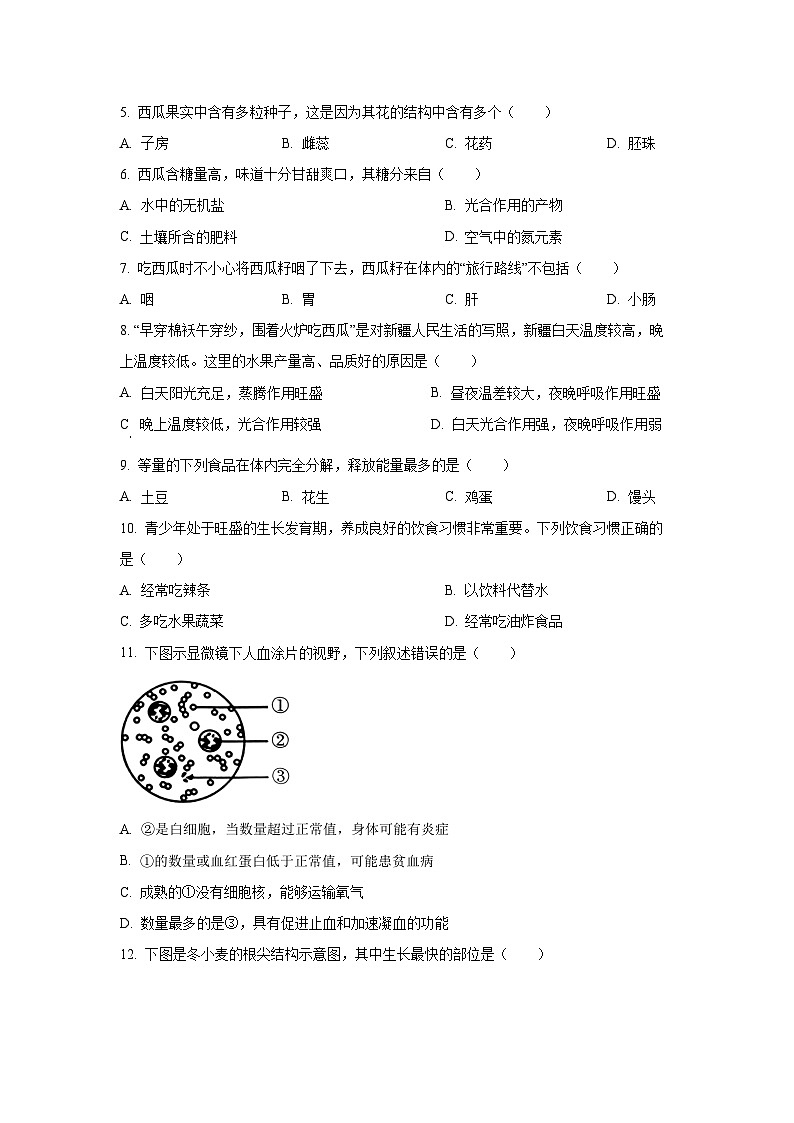 安徽省安庆市潜山市八校联考2025-2026学年八年级上学期开学生物试卷(学生版)第2页