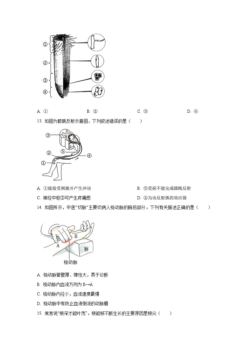 安徽省安庆市潜山市八校联考2025-2026学年八年级上学期开学生物试卷(学生版)第3页