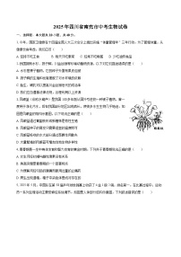 2025年四川省南充市中考生物试卷（含详细答案解析）