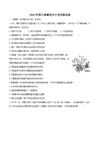 2025年四川省南充市中考生物试卷（含详细答案解析）