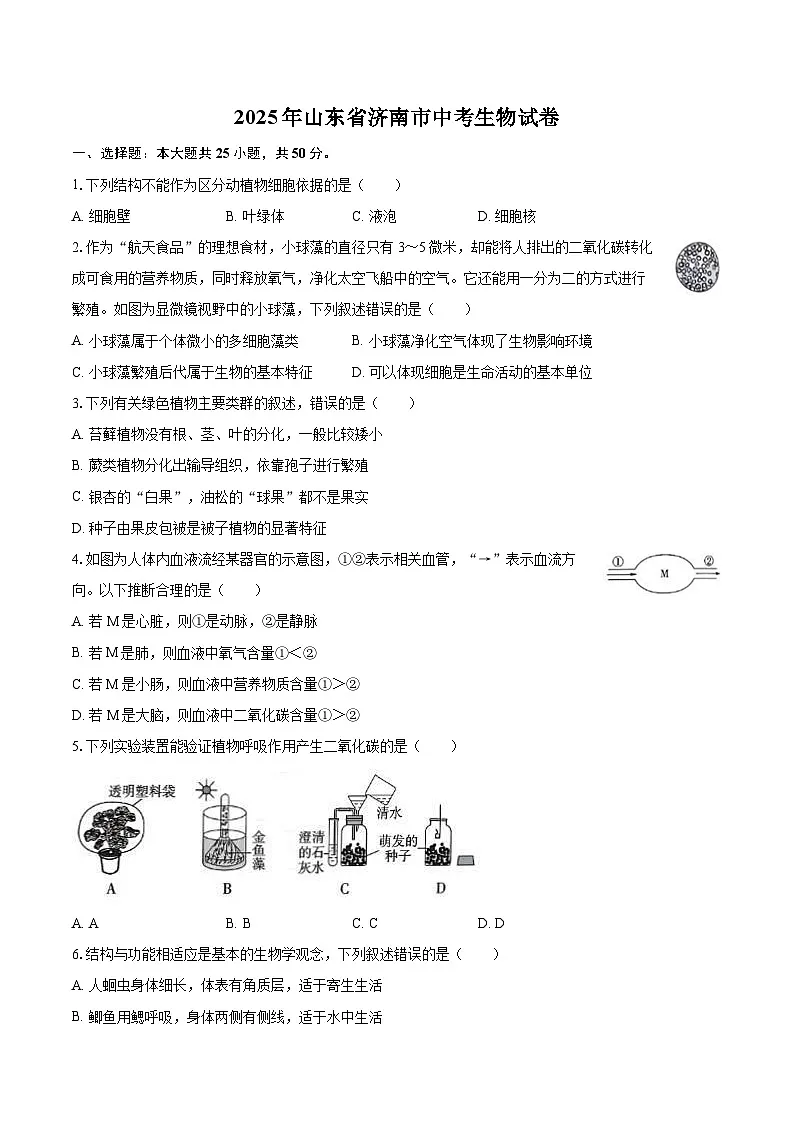 2025年山东省济南市中考生物试卷(含详细答案解析)第1页