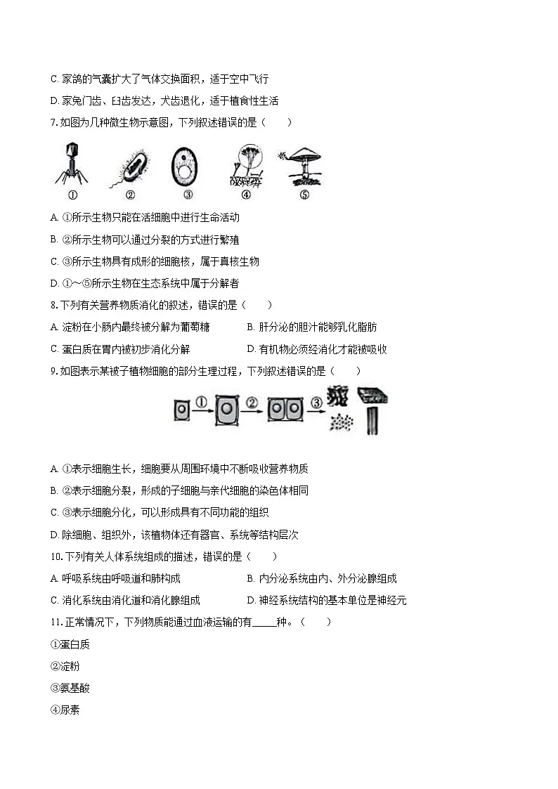 2025年山东省济南市中考生物试卷(含详细答案解析)第2页