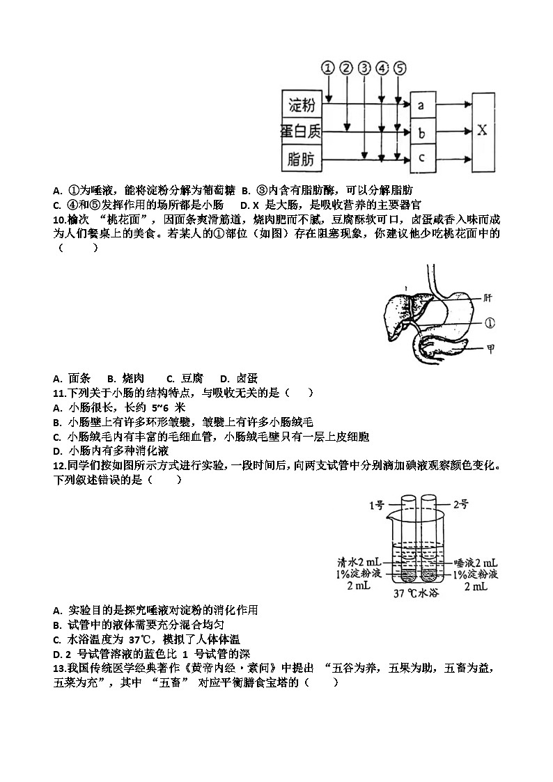 2025—2026学年济南天桥区泺口实验学校八年级上学期生物9月份月考试卷(含答案)第2页