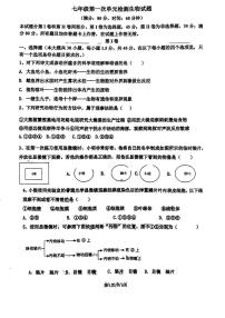 山东省青岛市西海岸实验学校2025-2026学年七年级上学期10月月考生物试卷