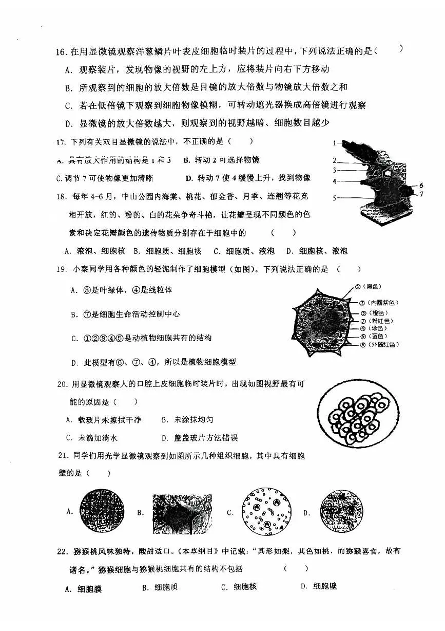 山东省青岛市城阳区第六中学2025-2026学年七年级上学期10月份月考生物试题第3页