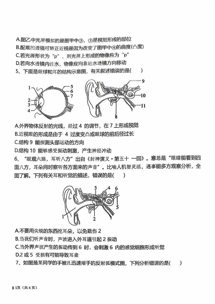 山东省青岛市第二十七中学2025-2026学年八年级上学期10月月考生物试卷第2页