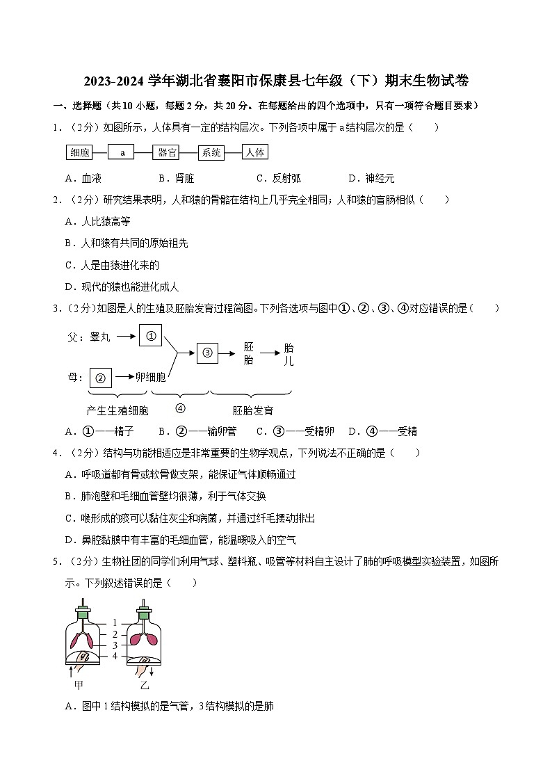 湖北省襄阳市保康县2023-2024学年七年级下学期期末考试生物试卷第1页
