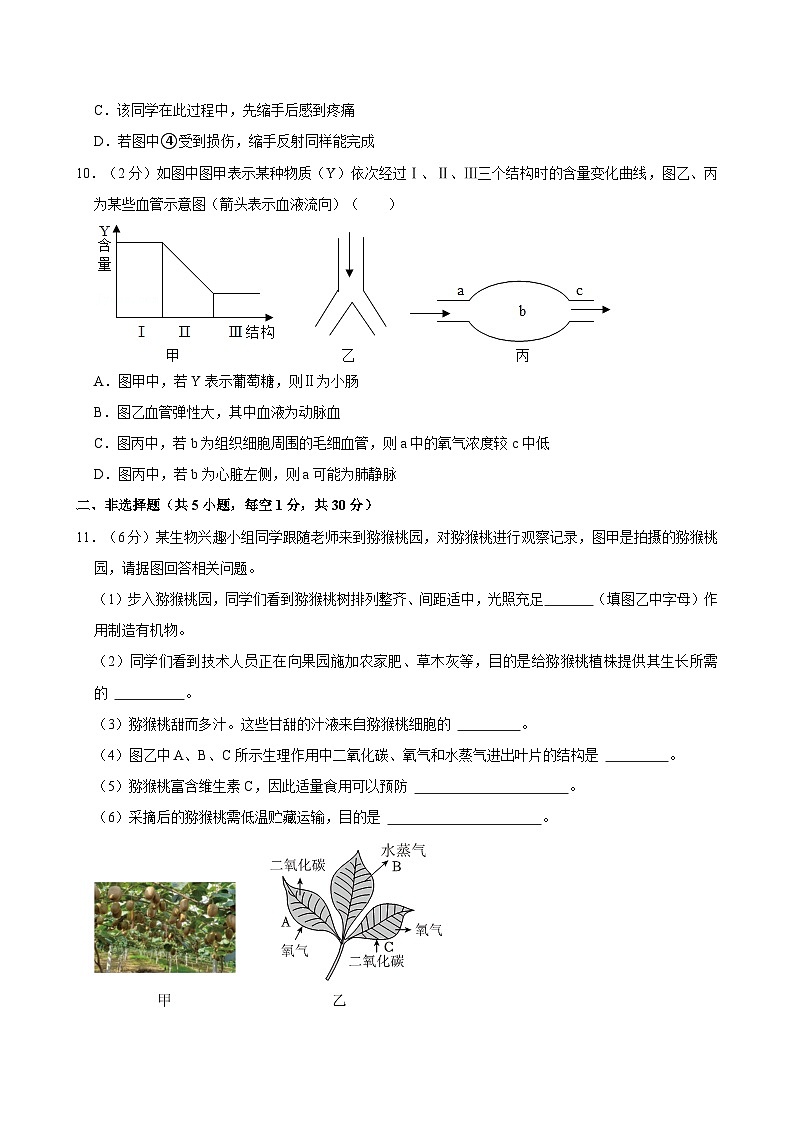 湖北省襄阳市保康县2023-2024学年七年级下学期期末考试生物试卷第3页