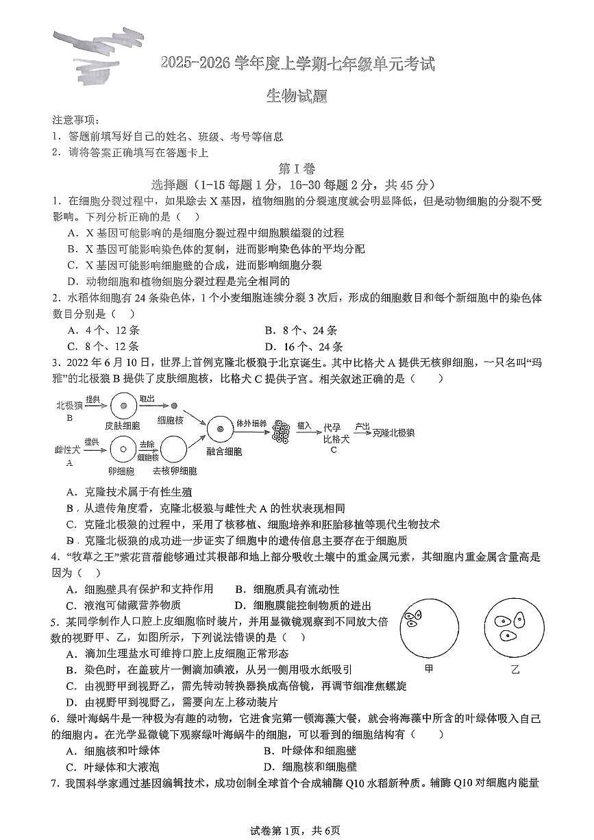 山东省日照市东港区日照港中学2025-2026学年七年级上学期10月月考生物试题第1页