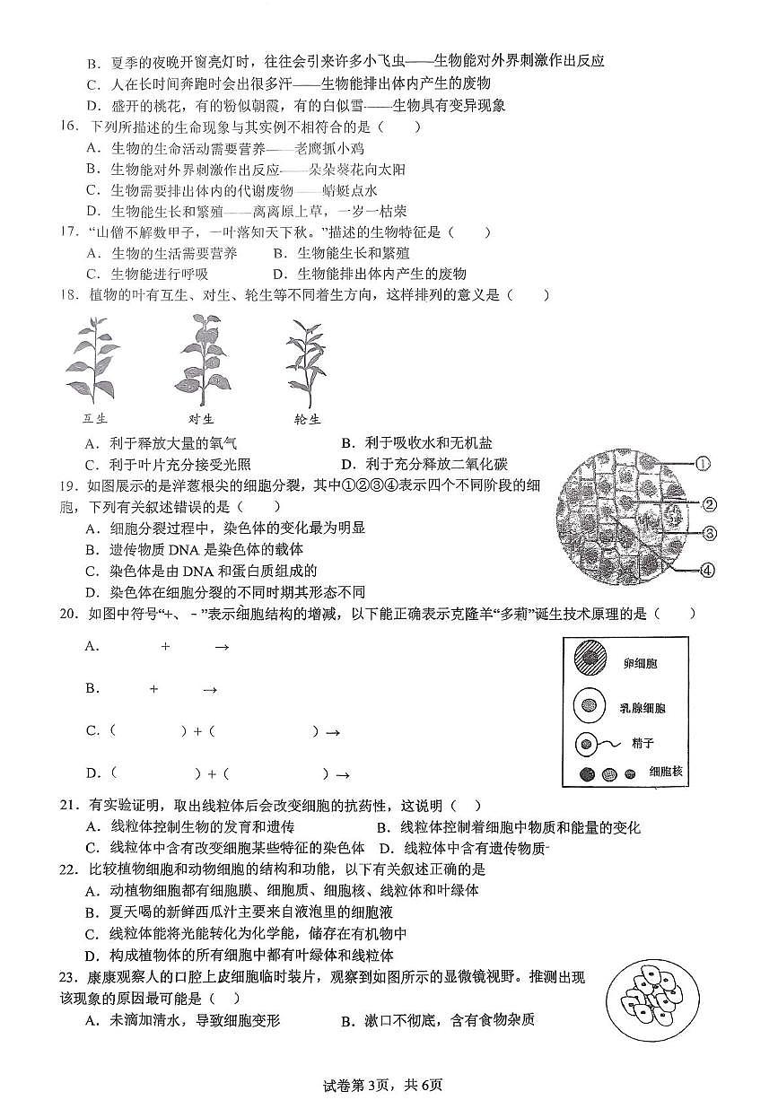 山东省日照市东港区日照港中学2025-2026学年七年级上学期10月月考生物试题第3页
