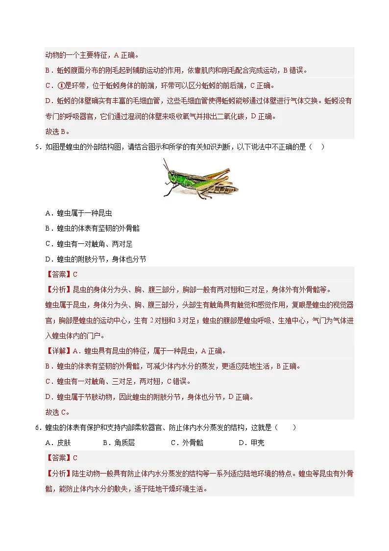 8.1 无脊椎动物(解析版)第3页