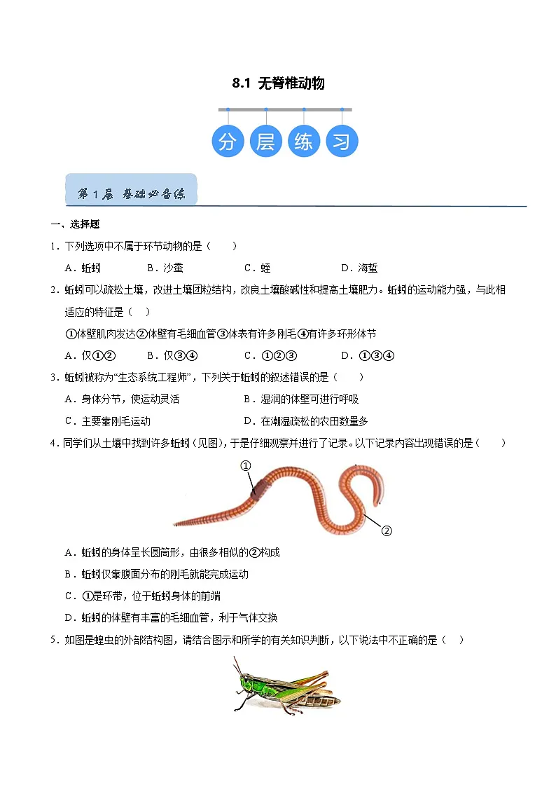 8.1 无脊椎动物(原卷版)第1页