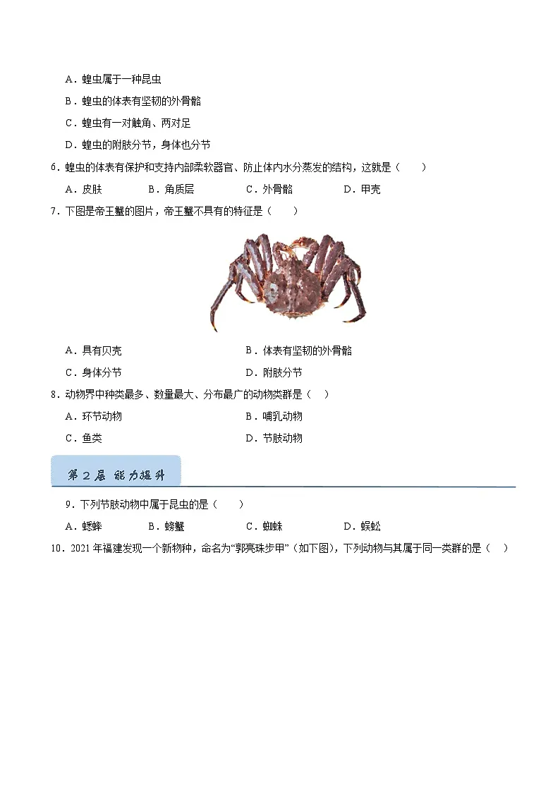8.1 无脊椎动物(原卷版)第2页