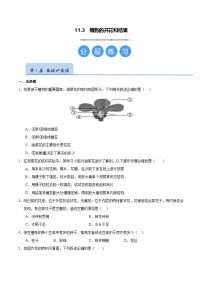 苏科版（2024）七年级下册（2024）植物的开花和结果优秀课后作业题