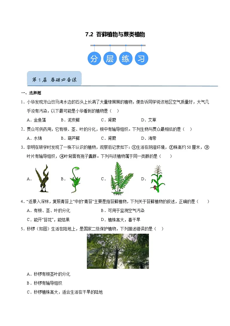 7.2 苔藓植物与蕨类植物(原卷版)第1页