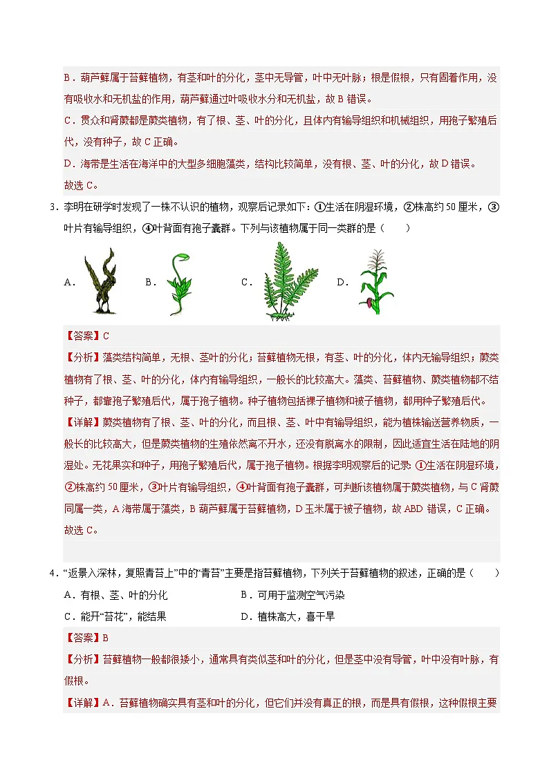 7.2 苔藓植物与蕨类植物(解析版)第2页