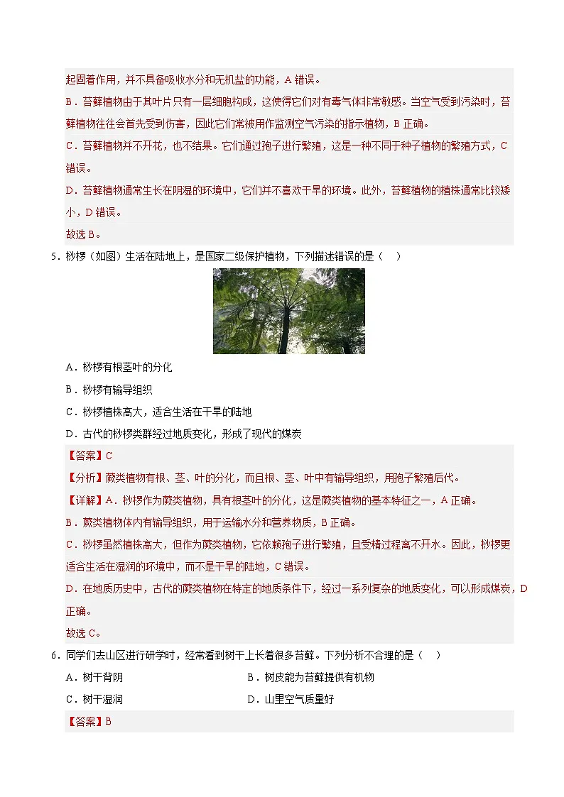 7.2 苔藓植物与蕨类植物(解析版)第3页