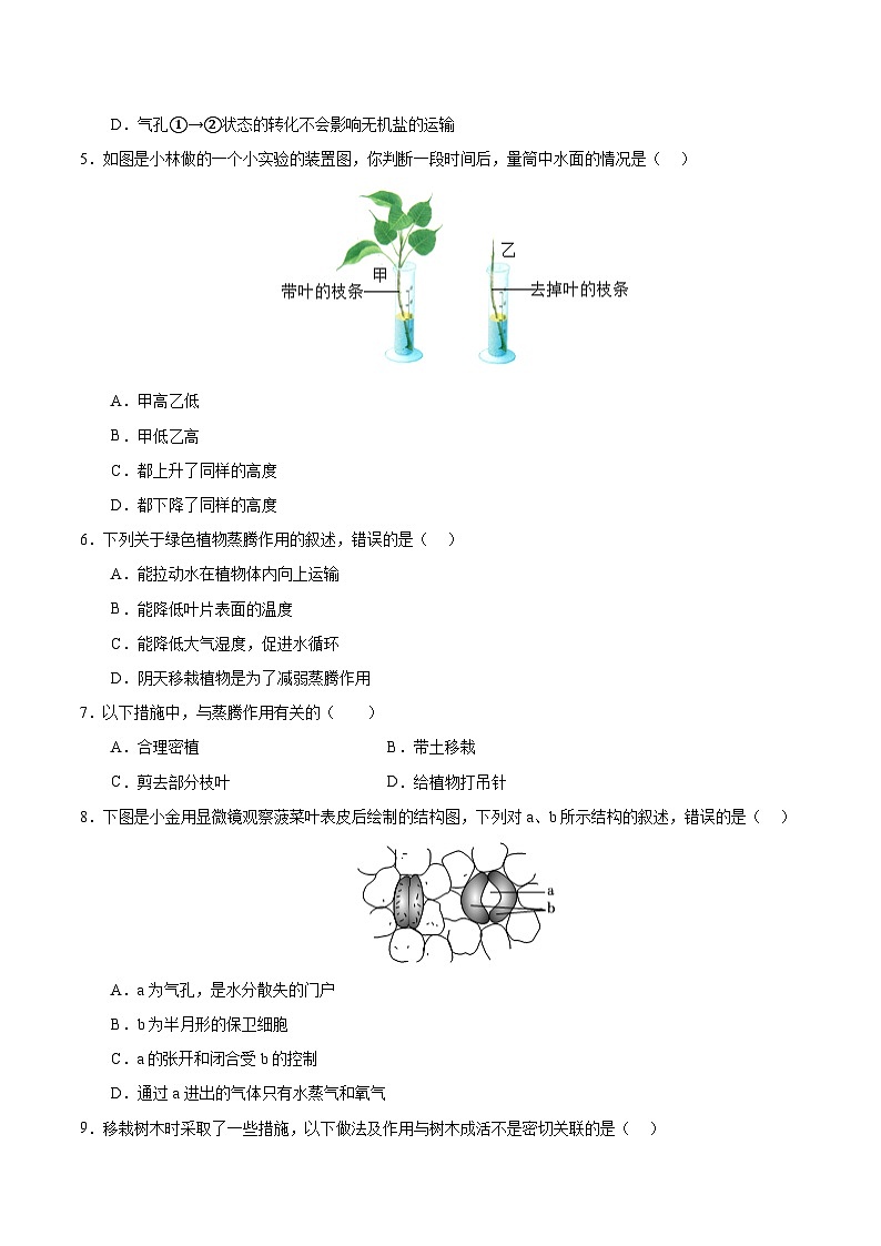 12.3 植物参与生物圈中的水循环(原卷版)第2页