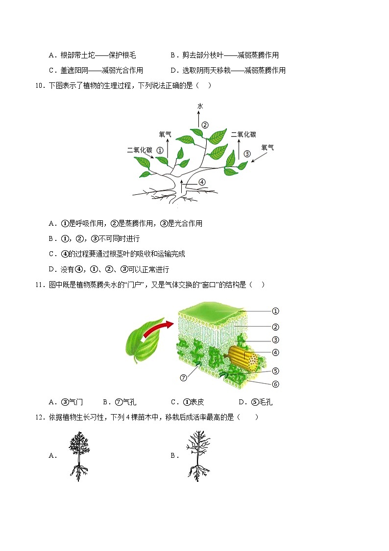 12.3 植物参与生物圈中的水循环(原卷版)第3页