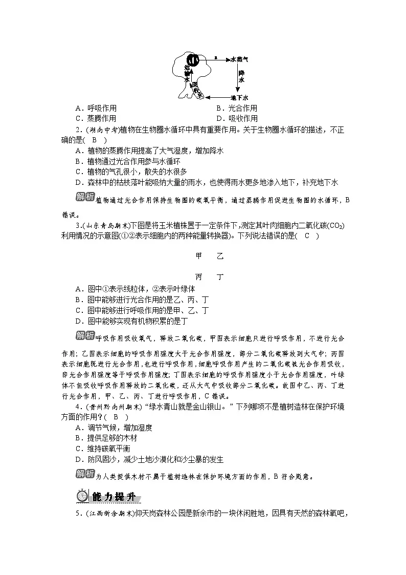3.2.4 植物在自然界中的作用第2页