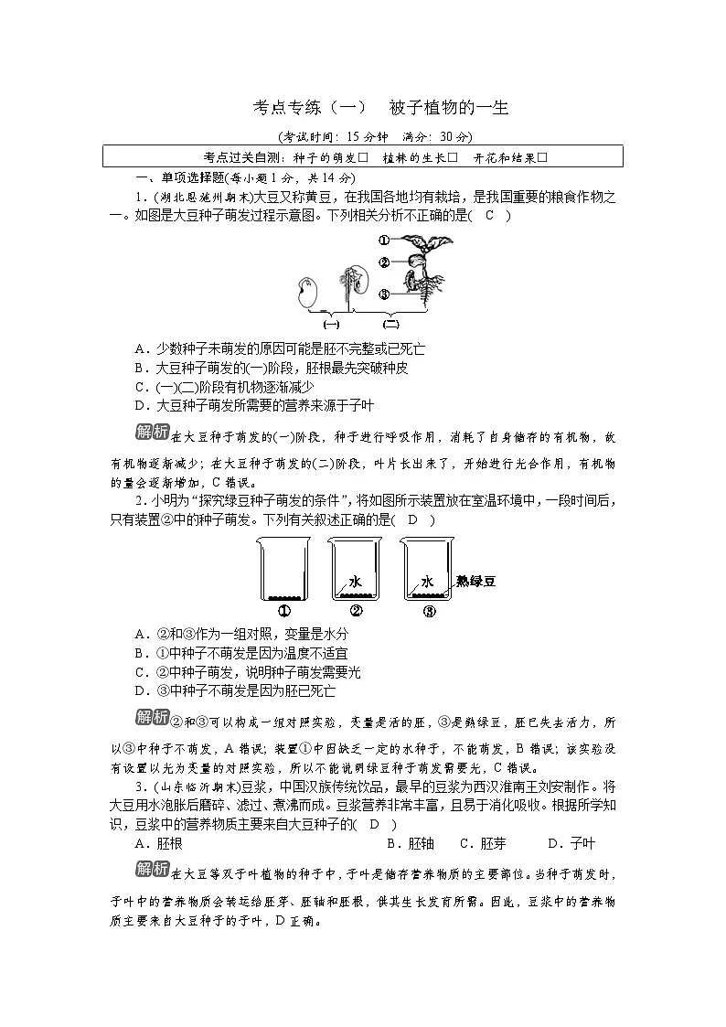 考点专练(一) 被子植物的一生第1页