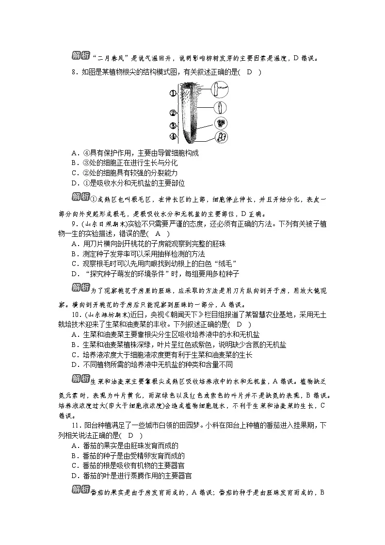 考点专练(一) 被子植物的一生第3页