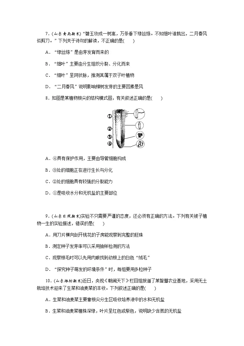 考点专练(一) 被子植物的一生 - 学生版第3页