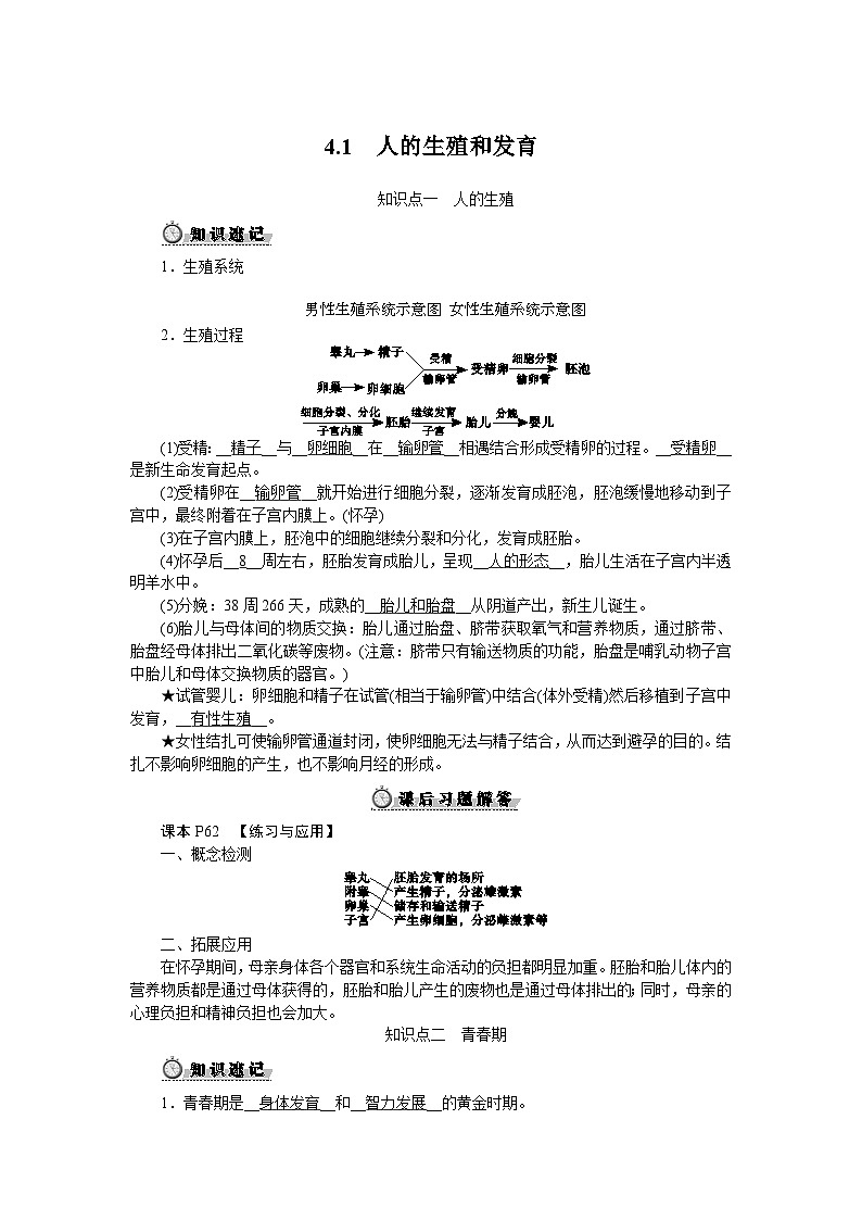4.1 人的生殖和发育第1页
