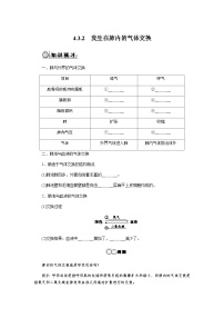 初中人教版（2024）发生在肺内的气体交换精品课后作业题