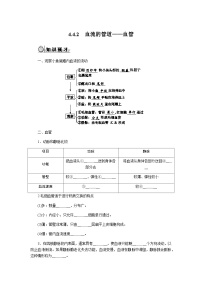 人教版（2024）七年级下册（2024）血流的管道—血管精品随堂练习题