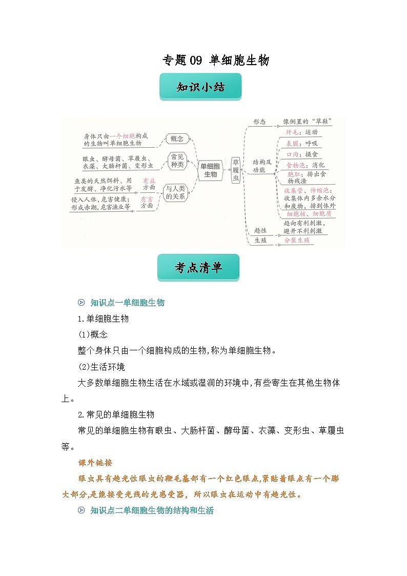 专题09 单细胞生物(原卷版)第1页
