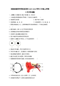 河南省南阳市桐柏县联考2025-2026学年八年级上学期9月月考生物试题（学生版）