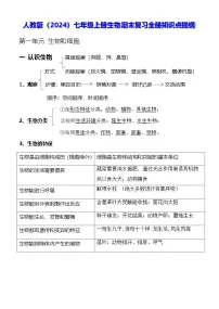 人教版(2024)七年级上册生物期末复习全册知识点提纲 讲义