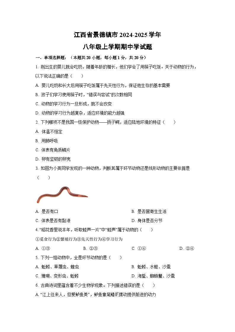 江西省景德镇市2024-2025学年八年级上学期期中学生物试卷(学生版)第1页