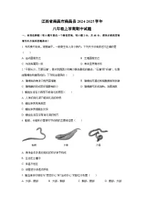 江西省南昌市南昌县2024-2025学年八年级上学期期中生物试卷（学生版）