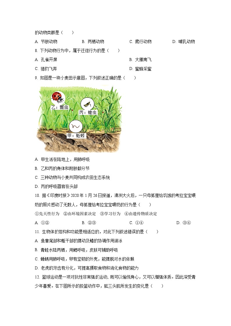 江西省萍乡市2024-2025学年八年级上学期期中生物试卷(学生版)第2页