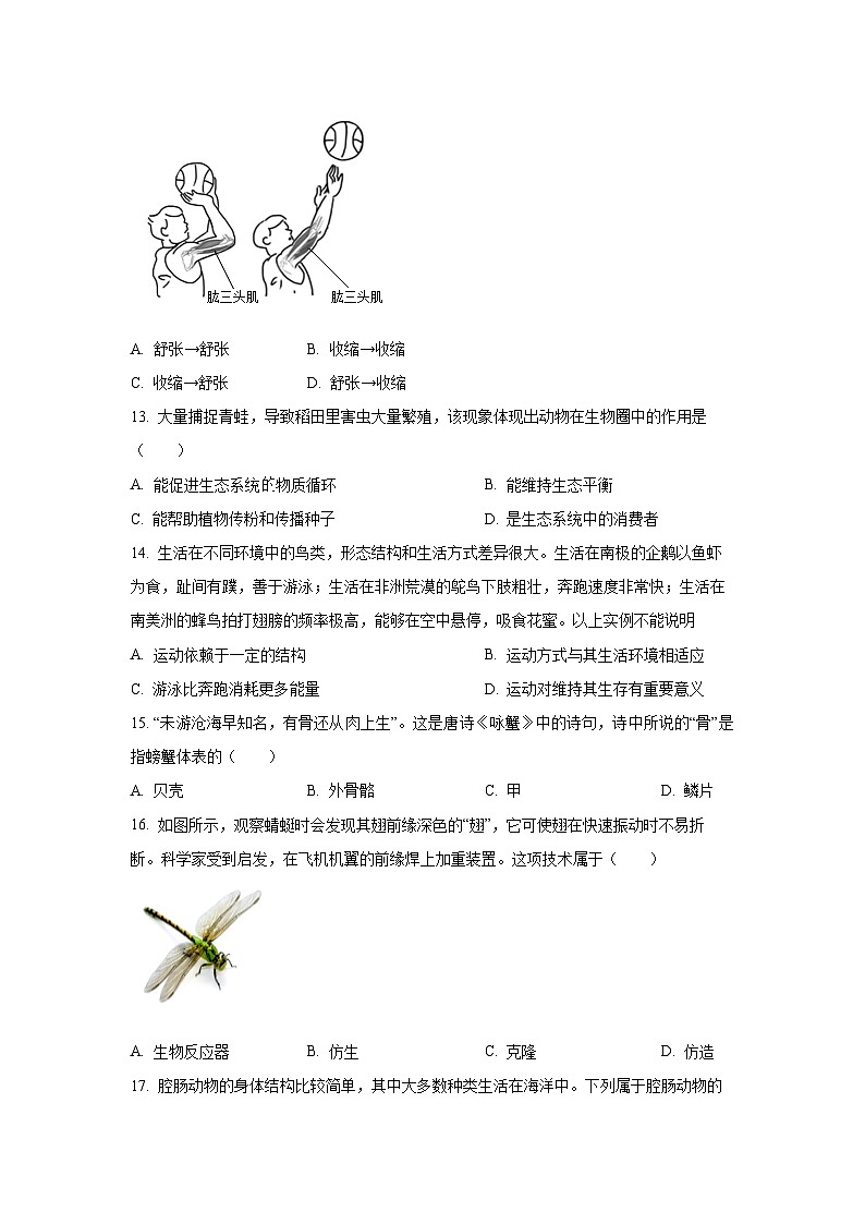 江西省萍乡市2024-2025学年八年级上学期期中生物试卷(学生版)第3页