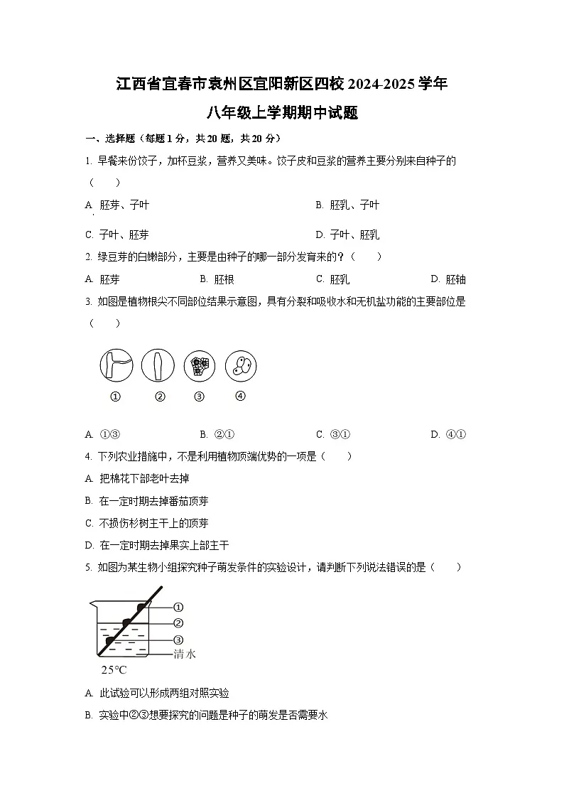 江西省宜春市袁州区宜阳新区四校2024-2025学年八年级上学期期中生物试卷(学生版)第1页