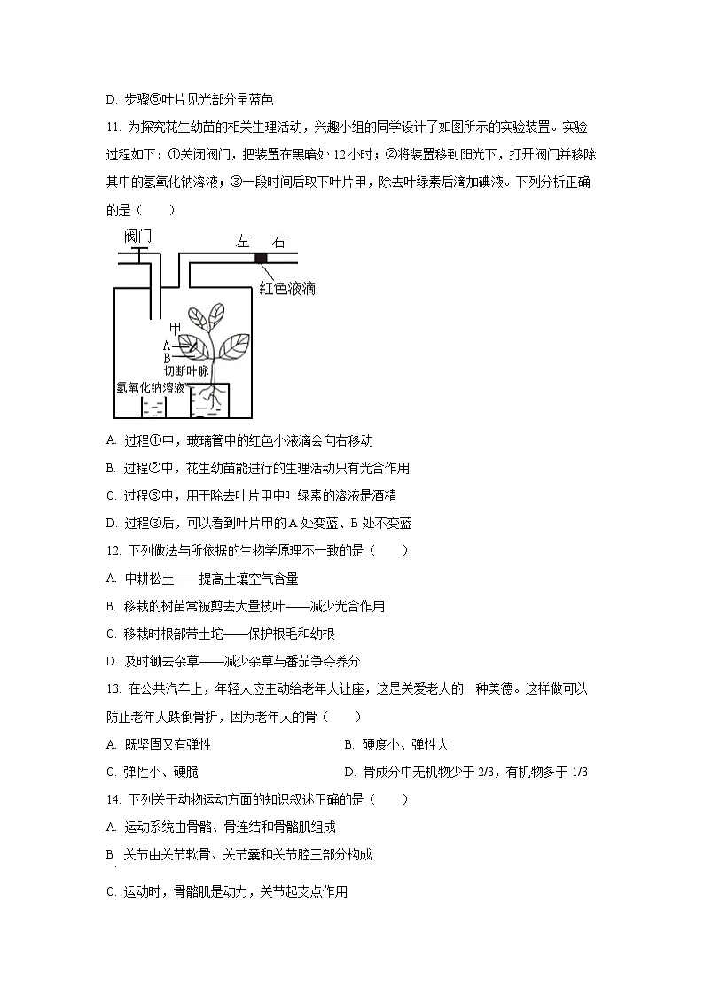 江西省宜春市袁州区宜阳新区四校2024-2025学年八年级上学期期中生物试卷(学生版)第3页