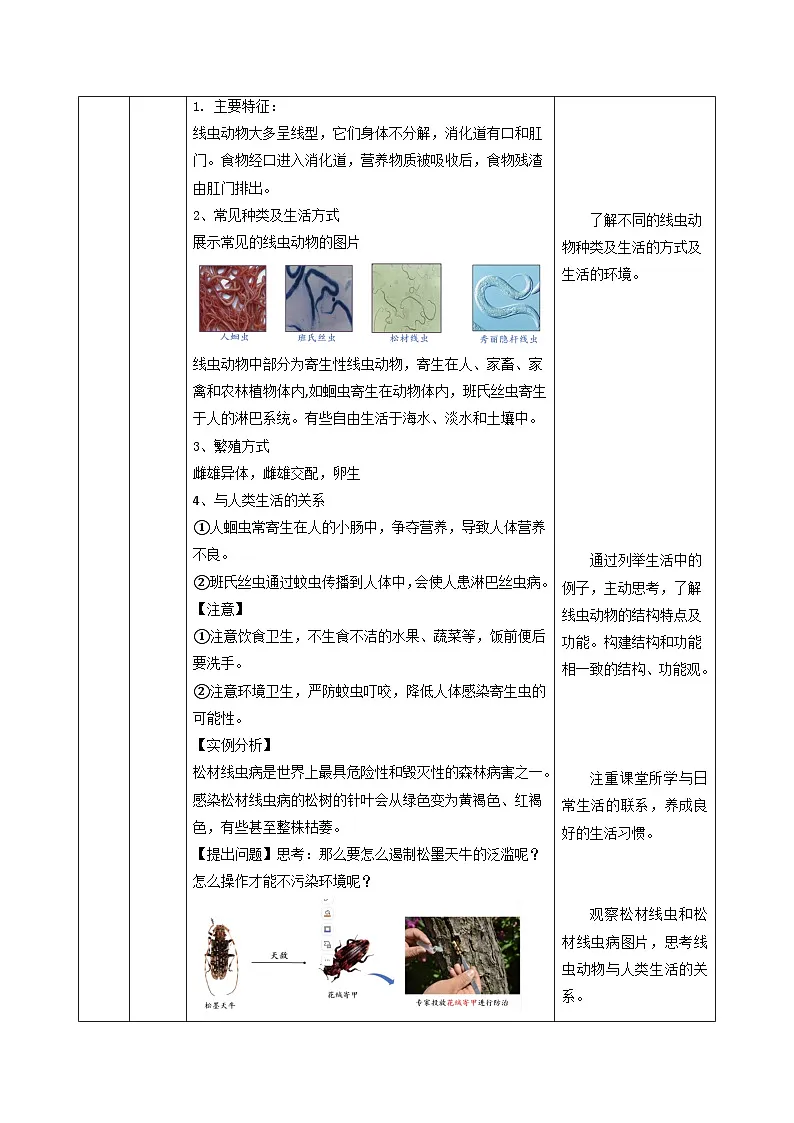 2.4.1 无脊椎动物(教学设计)生物苏教版2024七年级上册第3页