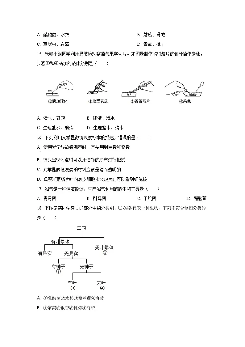 江西省赣州市章贡区2024-2025学年七年级上学期期末生物试卷(学生版)第3页