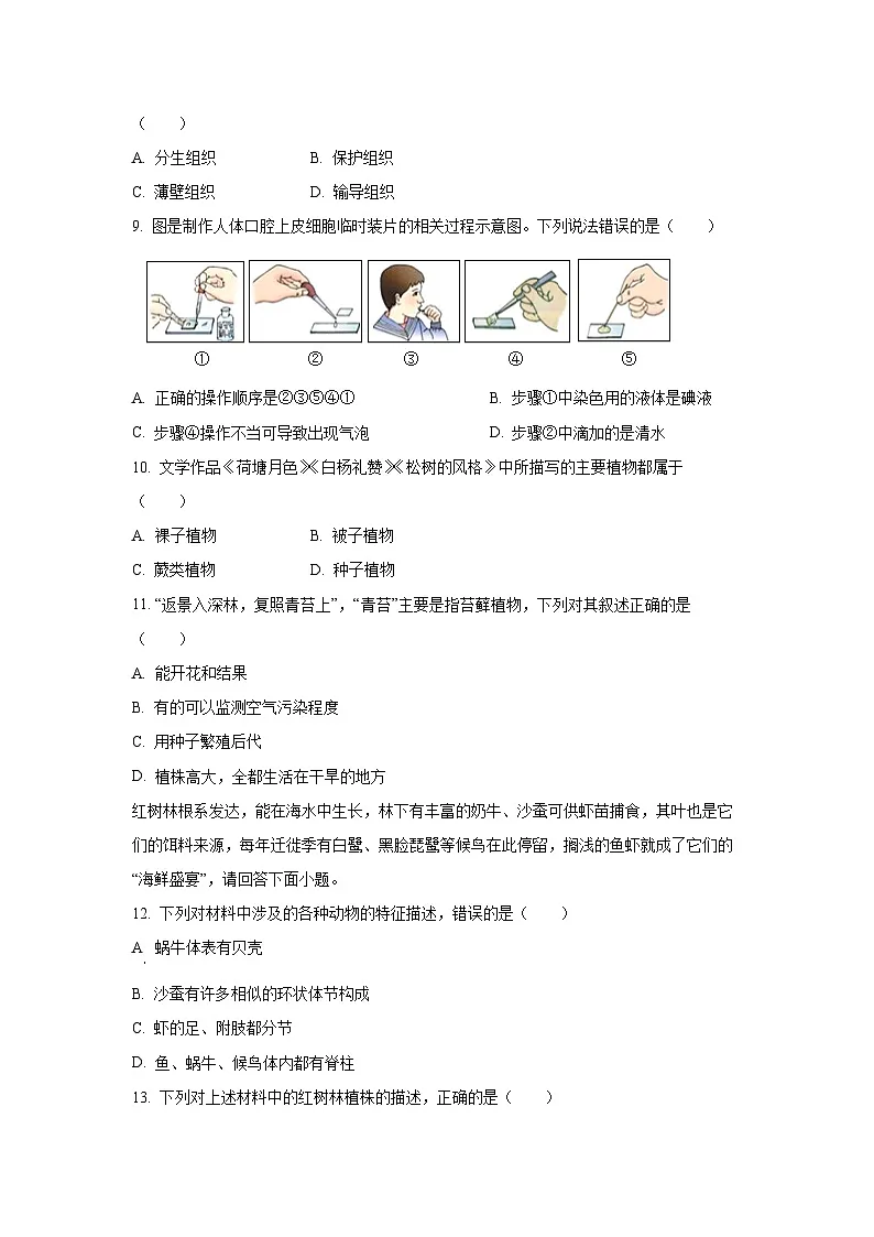 江西省赣州市于都县2024-2025学年七年级上学期期末生物试卷(学生版)第2页