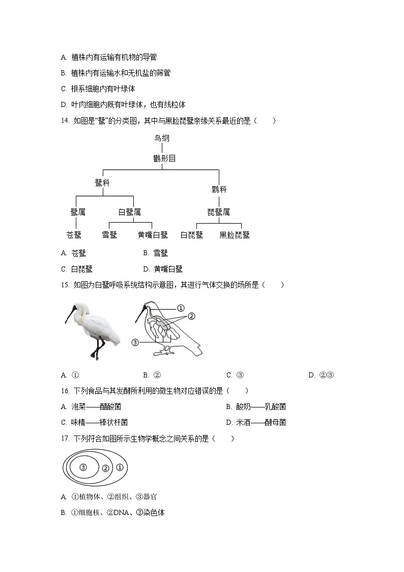 江西省赣州市于都县2024-2025学年七年级上学期期末生物试卷(学生版)第3页