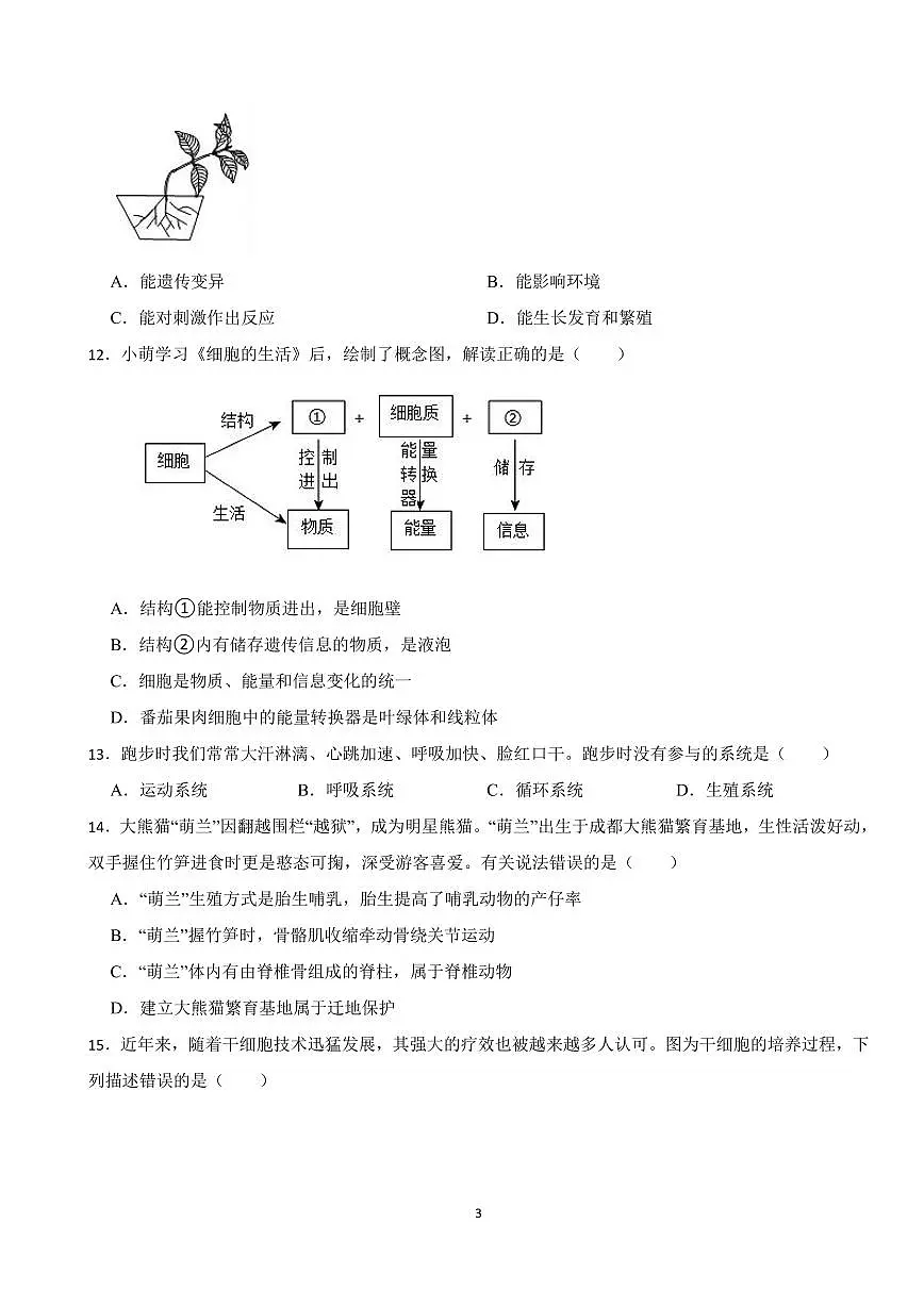 2025-2026学年第一学期人教版2024版七年级生物上册期中考前训练卷含答案第3页