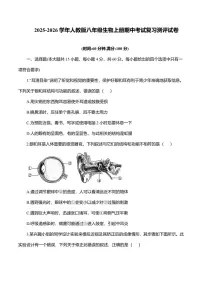 2025-2026学年人教版八年级生物上册期中考试复习测评试卷含答案