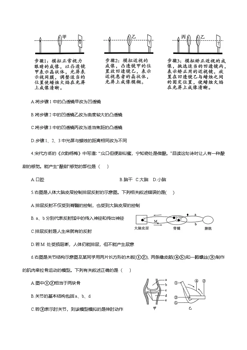 2025-2026学年人教版八年级生物上册期中考试复习测评试卷第2页