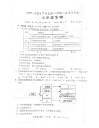 山东省菏泽市鲁西新区2025-2026学年七年级上学期第一次月考生物试题